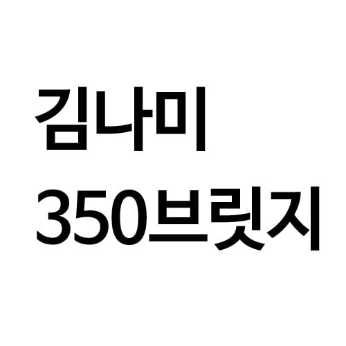 김나미 사각 350미리 240개